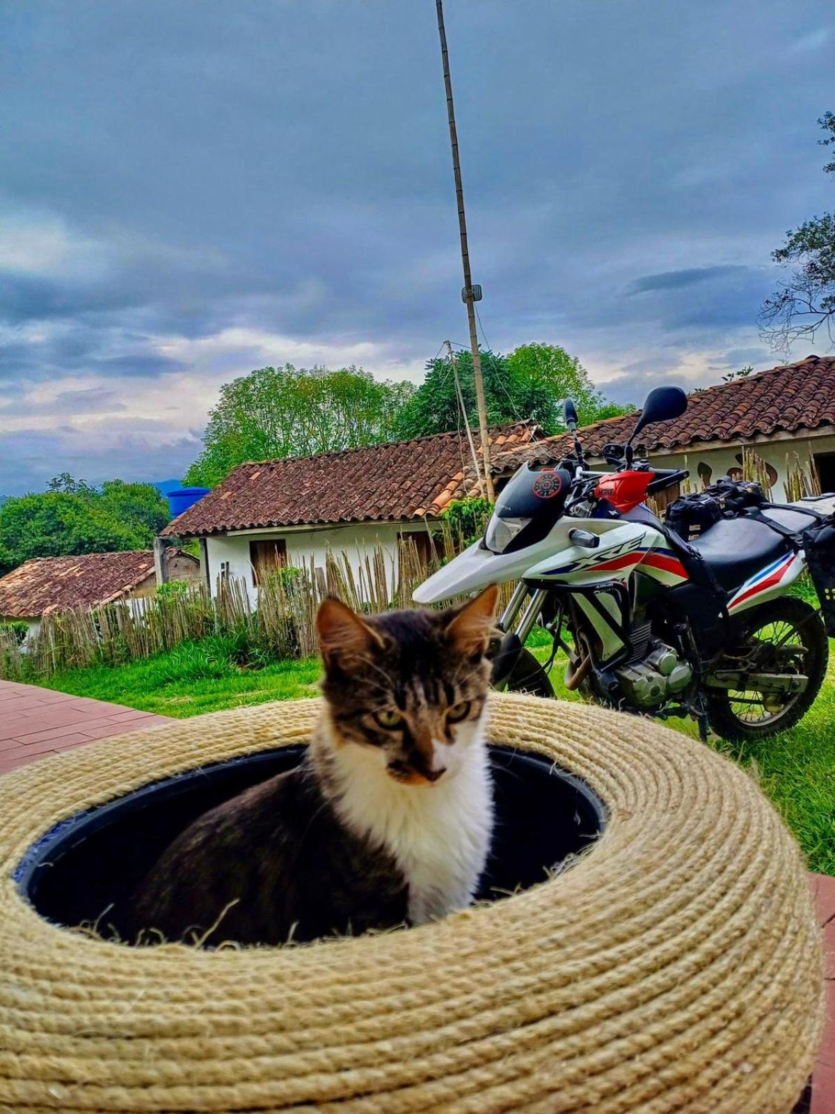 Casa Annunakis San Agustín エクステリア 写真