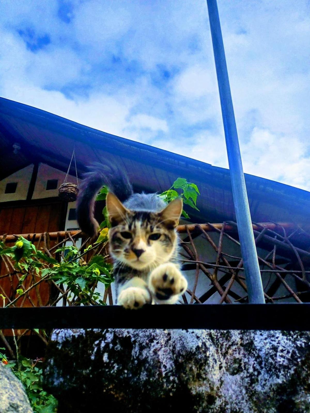 Casa Annunakis San Agustín エクステリア 写真