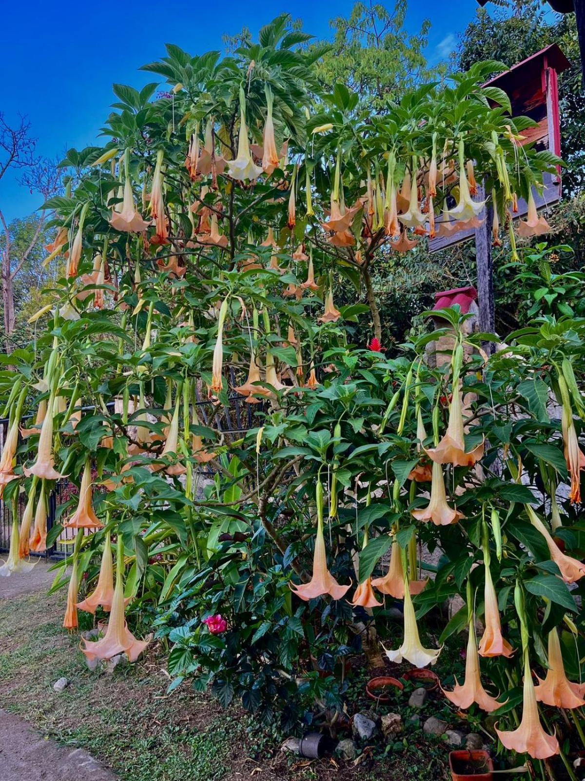 Casa Annunakis San Agustín エクステリア 写真